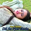 About Dil Su Pyar Karle Song